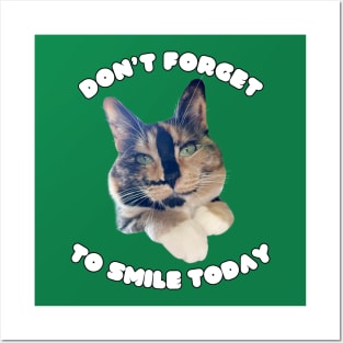 Snickers The Smiling Cat Posters and Art